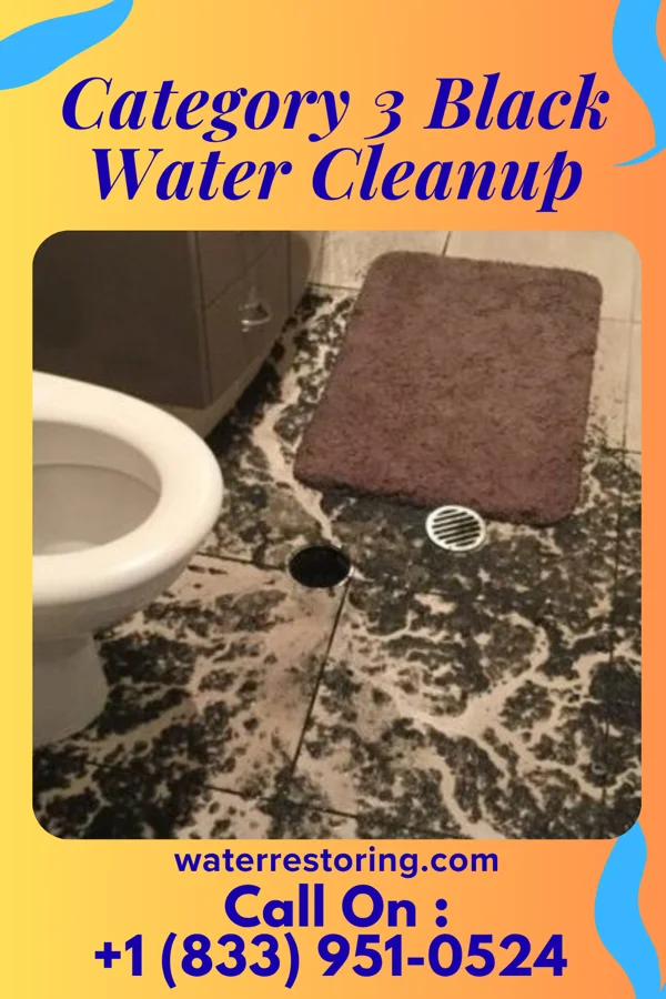 Category 3 Black Water Cleanup in Saxton, PA