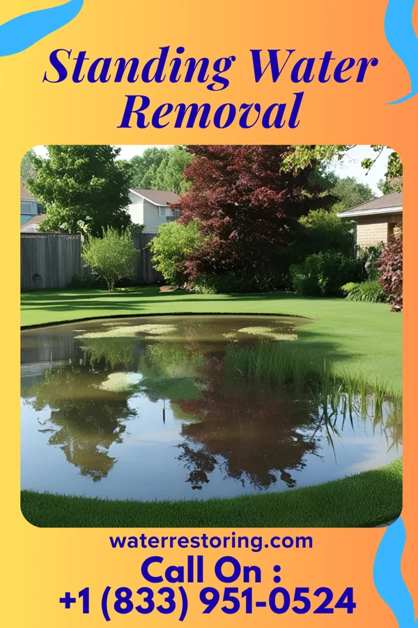 Standing Water Removal in Saxton, PA